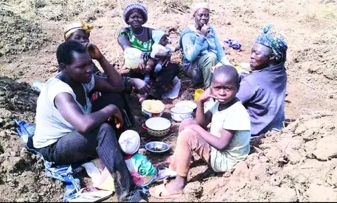 breaktime in the farm