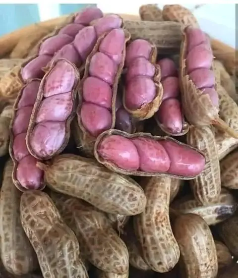 Ngongmuna