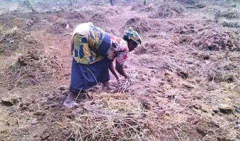 farm forming
