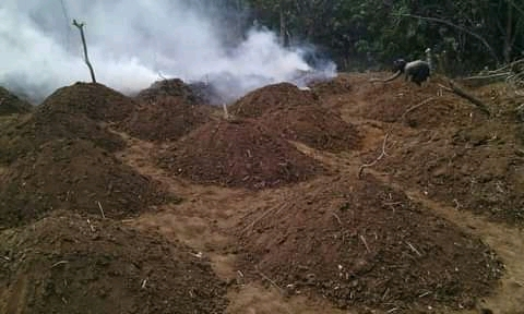  farm preparation